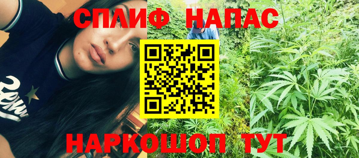 Сальск  Конопля MAZAR  Шишки марихуана MAZAR  МАРИХУАНА конопля  Вход с VPN  Канабис OG Kush 