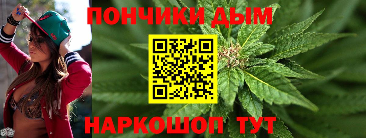 Марихуана гибрид Сальск